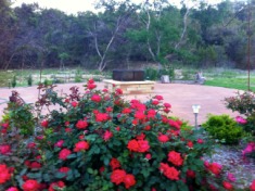 2012-04-06-9-Landscape changes Conifer Cove.jpg